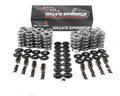 Platinum .660" Dual Spring Kit