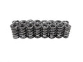 Platinum Dual Valve Spring Set