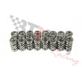 Platinum Dual Valve Spring Set
