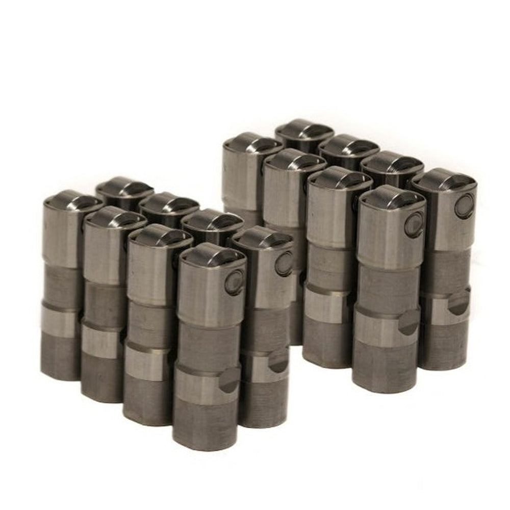 Delphi Hydraulic LS7 Lifter Set