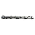 Gen V Stage 3 Supercharged Hydraulic Roller Camshaft
