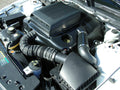 Shaker Hood Scoop