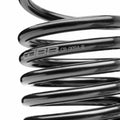 Lowering Springs