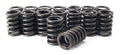 Comp Cams Valve Springs