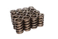 1.254" OD x 0.880" ID Valve Spring, 0.490" Max Lift