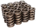 1.254" OD x 0.880" ID Valve Spring, 0.490" Max Lift
