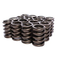 Cams Single Outer Valve Spring