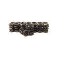 Cams Single Outer Valve Spring