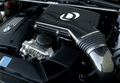 Ram-Air Intake System
