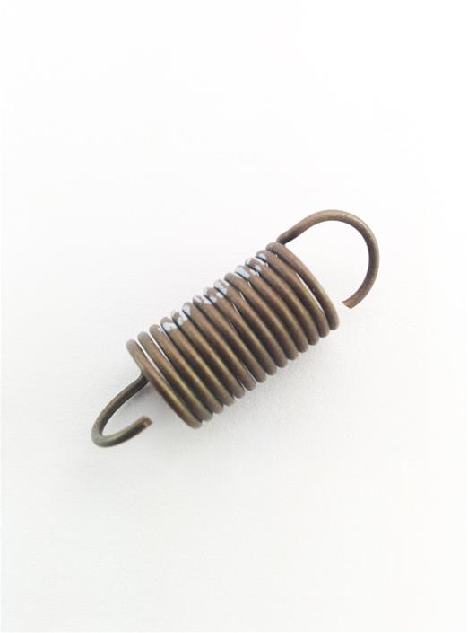 VE Pump Governor Spring