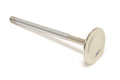 Competition Plus Intake Valve