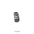 Single Valve Springs 18.30mm OD