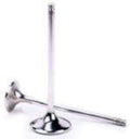 Stainless Steel Intake Engine Valve