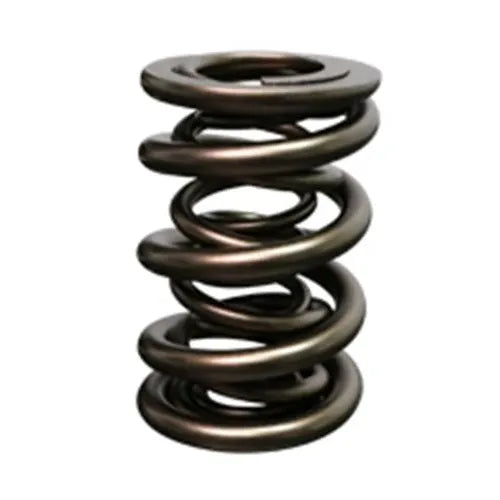 Dual Valve Spring