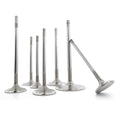 6000 Series Competition Exhaust Valve