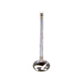 Exhaust Valve for Honda D-Series 1.6L Engines