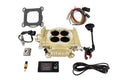 Easy Street EFI System