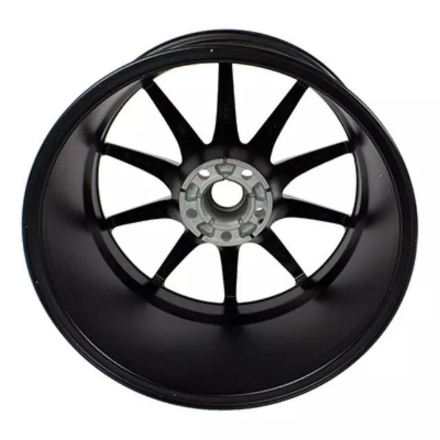 19x10.5 10-Spoke Alloy Wheel