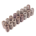 Performance Valve Spring Kit