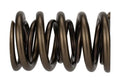 Performance Valve Spring Kit