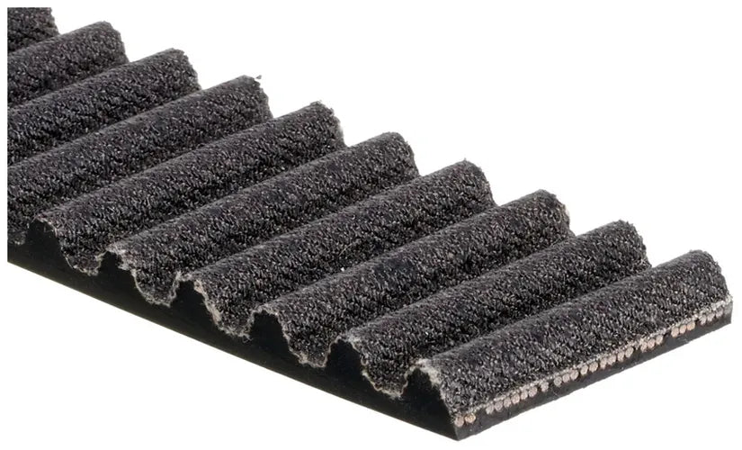 Timing Belt