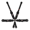 6-Point Racing Harness