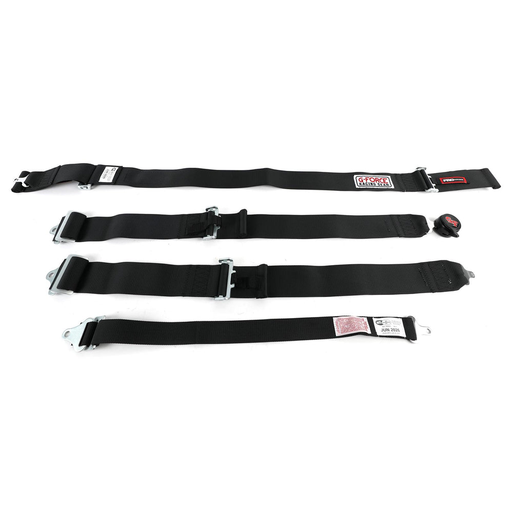 Pro Series 5-Point Camlock Harness