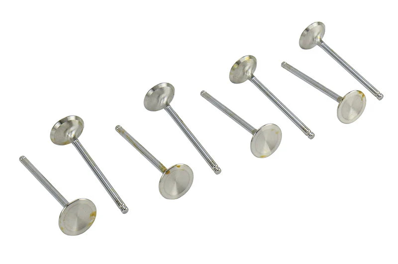 Exhaust Valves (Set of 8)