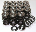 Power-Division Single Valve Spring Kit