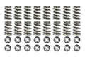 Beehive Spring Kit