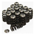Beehive Spring Kit w/ Titanium Retainers