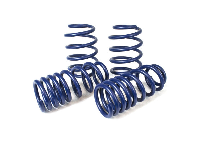 Progressive Lowering Spring Kit