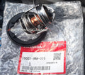 Engine Coolant Thermostat