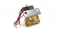 HornBlasters 1/2" 110V Electric Air Valve