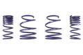 Sport Lowering Springs