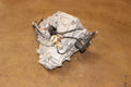 1.6L Manual Transmission