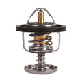 Racing Thermostat