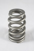 RPM Series Ovate Beehive Valve Springs
