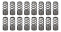 RPM Series Ovate Beehive Valve Springs