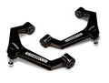Cognito Motorsports - 110-91365