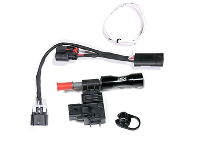 Flex Fuel System