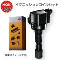 Ignition Coil and Spark Plug Set
