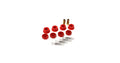 Hyper-Flex Polyurethane Bushing Kit