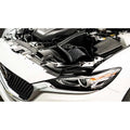 Power Series Short Ram Intake