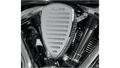 Rear Fender Bib