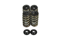 Dual Spring Kit