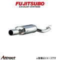 Cat-Back Exhaust System