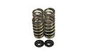 Dual Spring Kit
