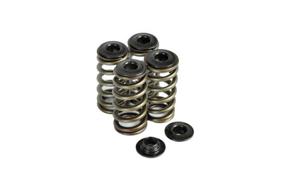 Dual Spring Kit