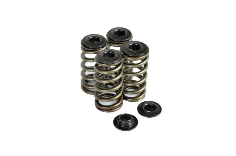 Dual Spring Kit